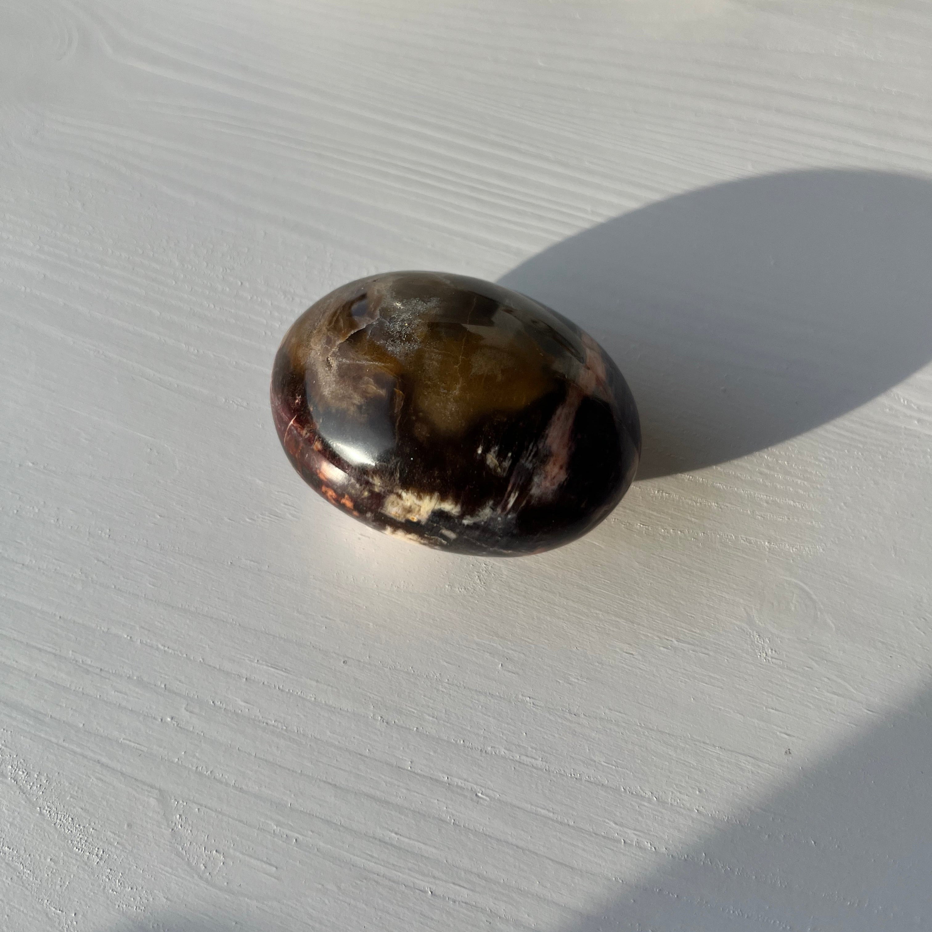 versteinertes Holz Jumbo Trommelstein