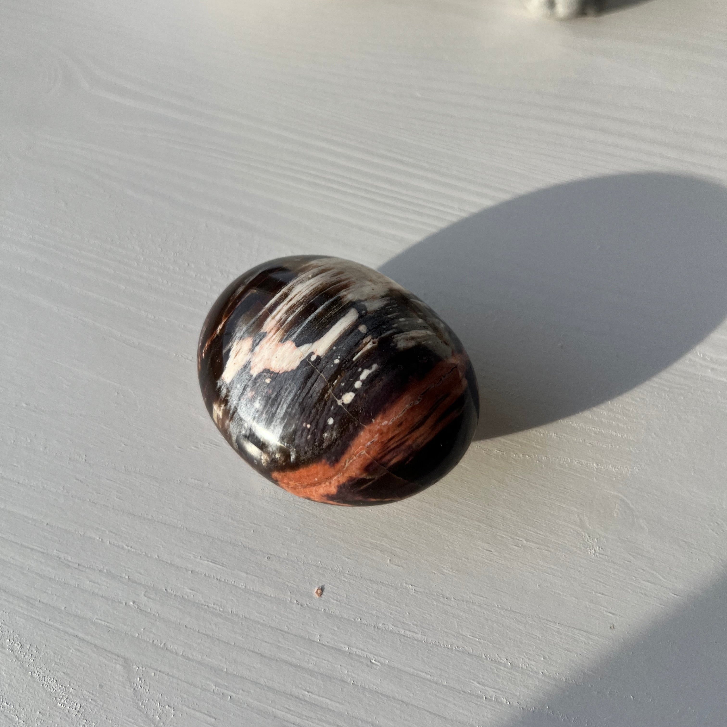 versteinertes Holz Jumbo Trommelstein