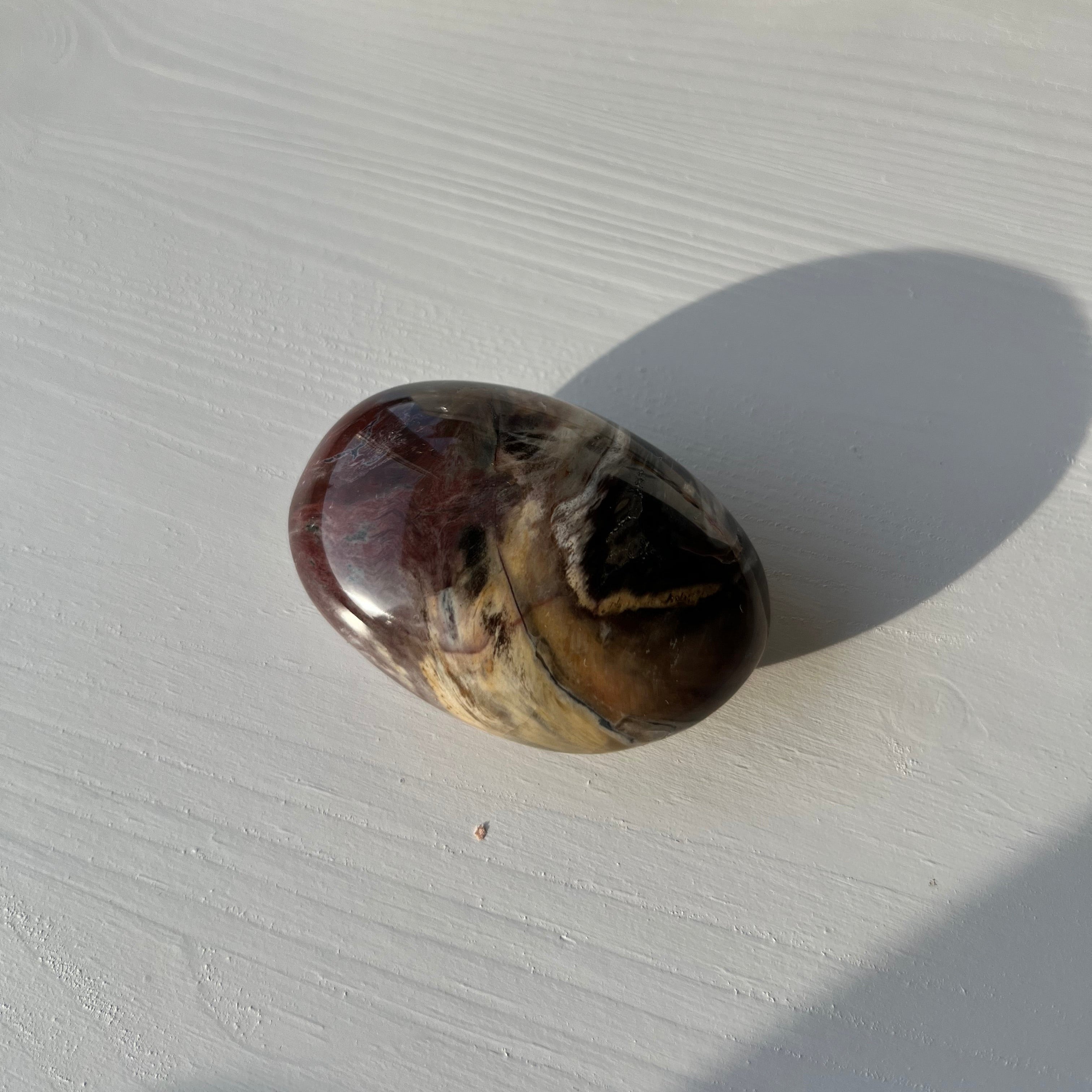 versteinertes Holz Jumbo Trommelstein