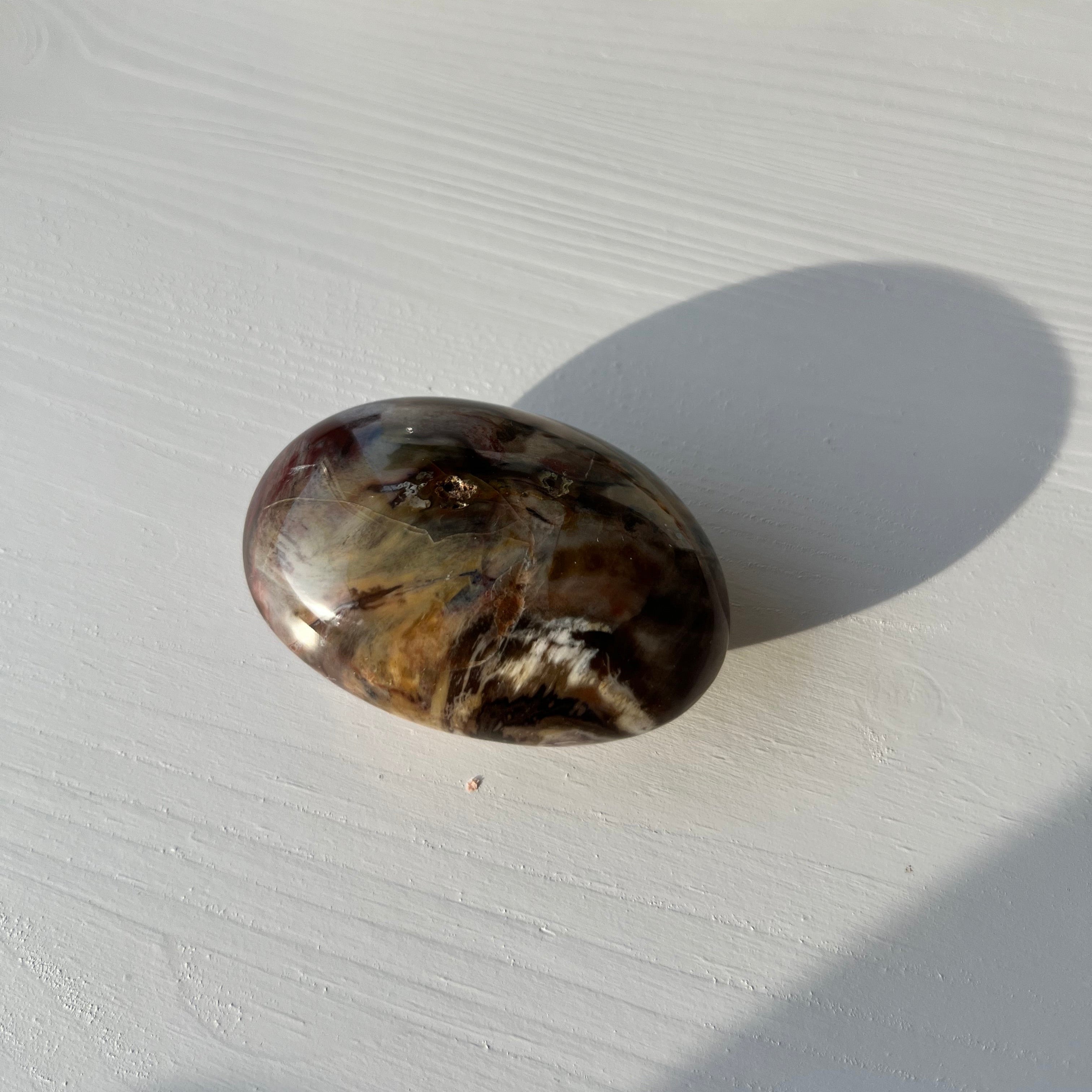 versteinertes Holz Jumbo Trommelstein