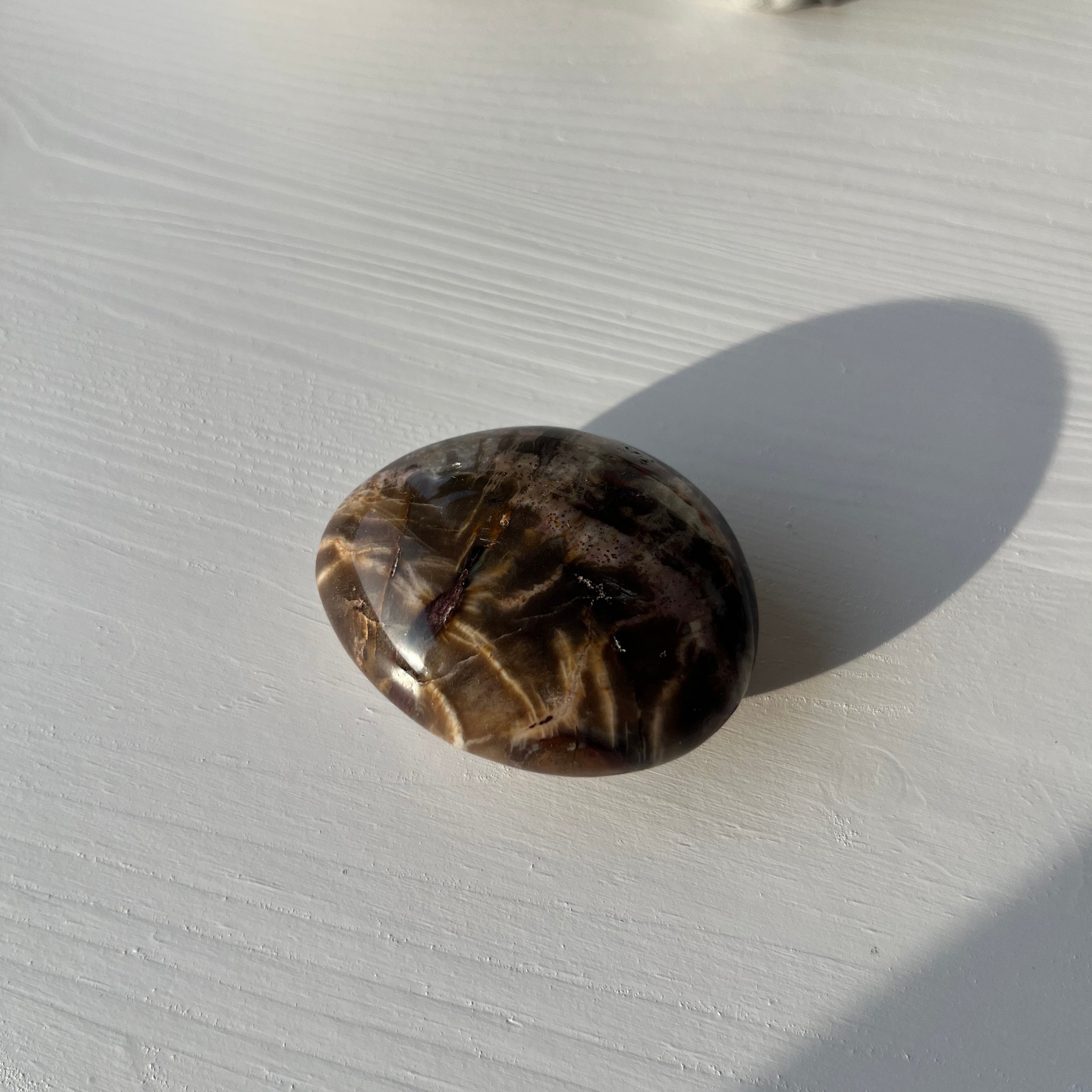 versteinertes Holz Jumbo Trommelstein