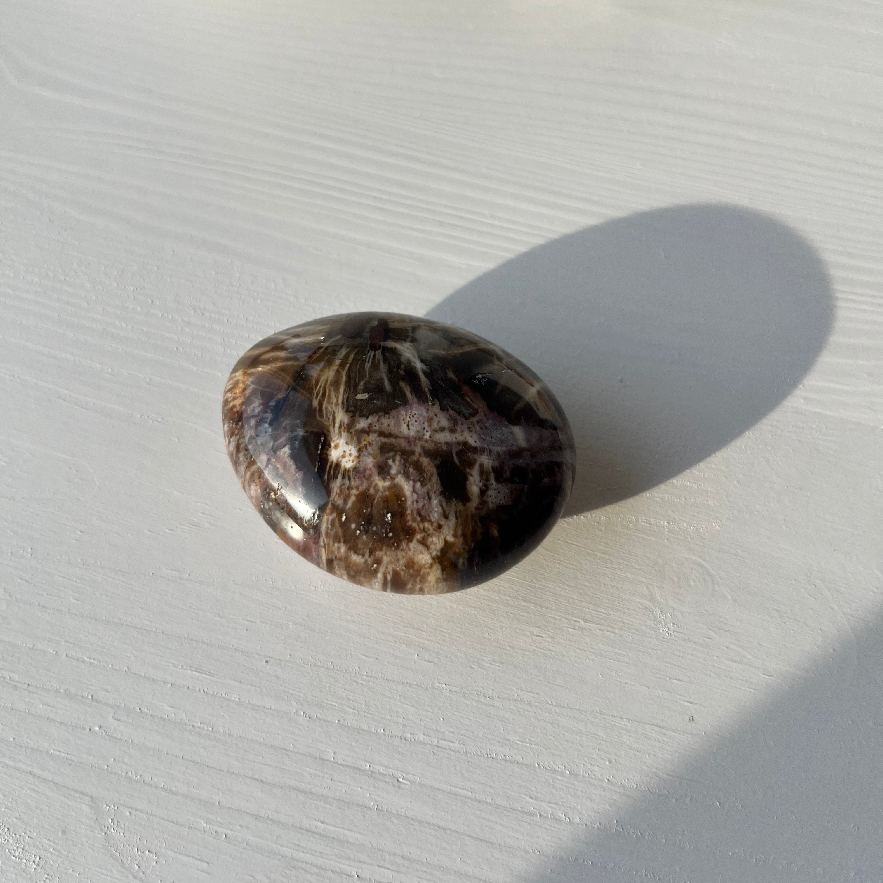 versteinertes Holz Jumbo Trommelstein