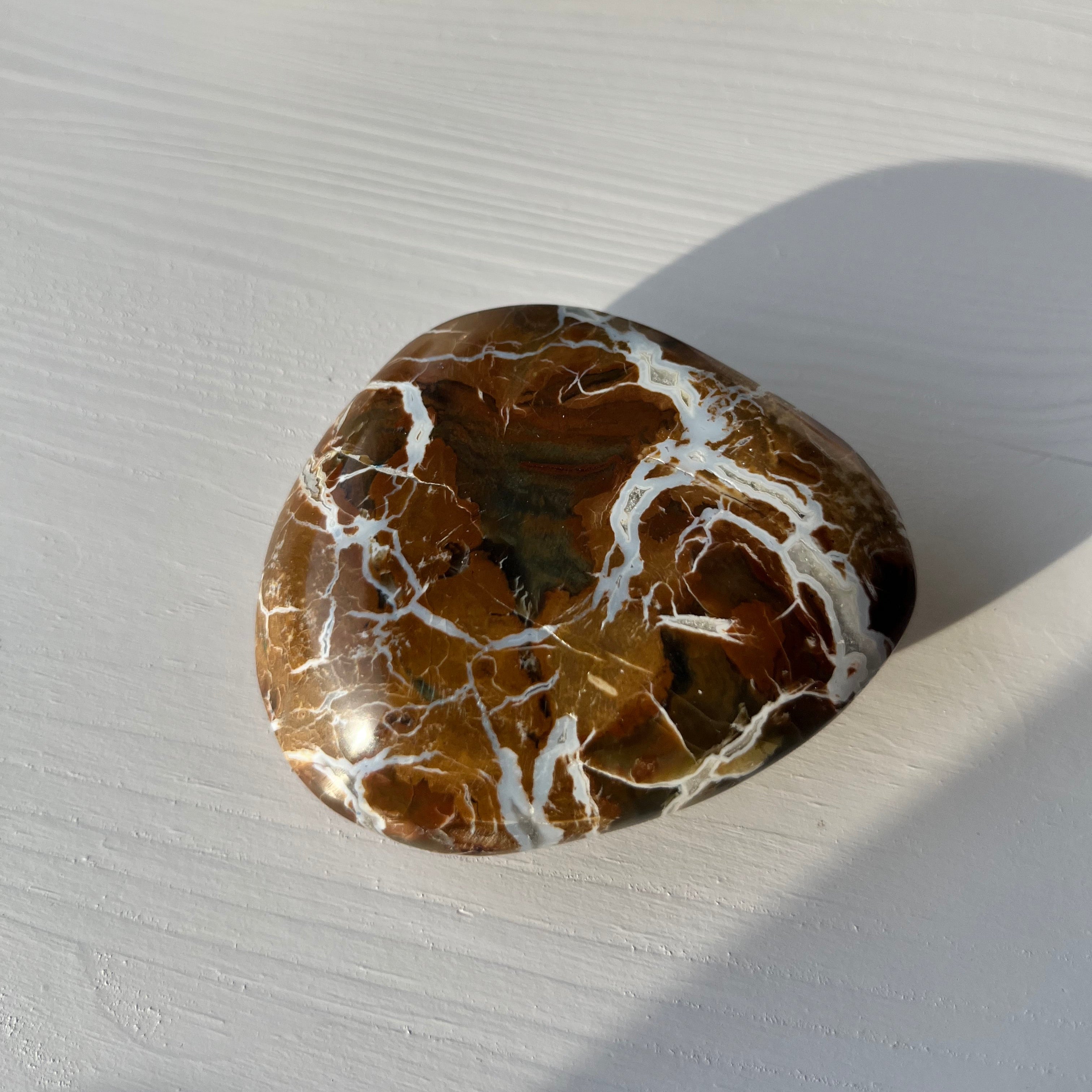 versteinertes Holz Jumbo Trommelstein