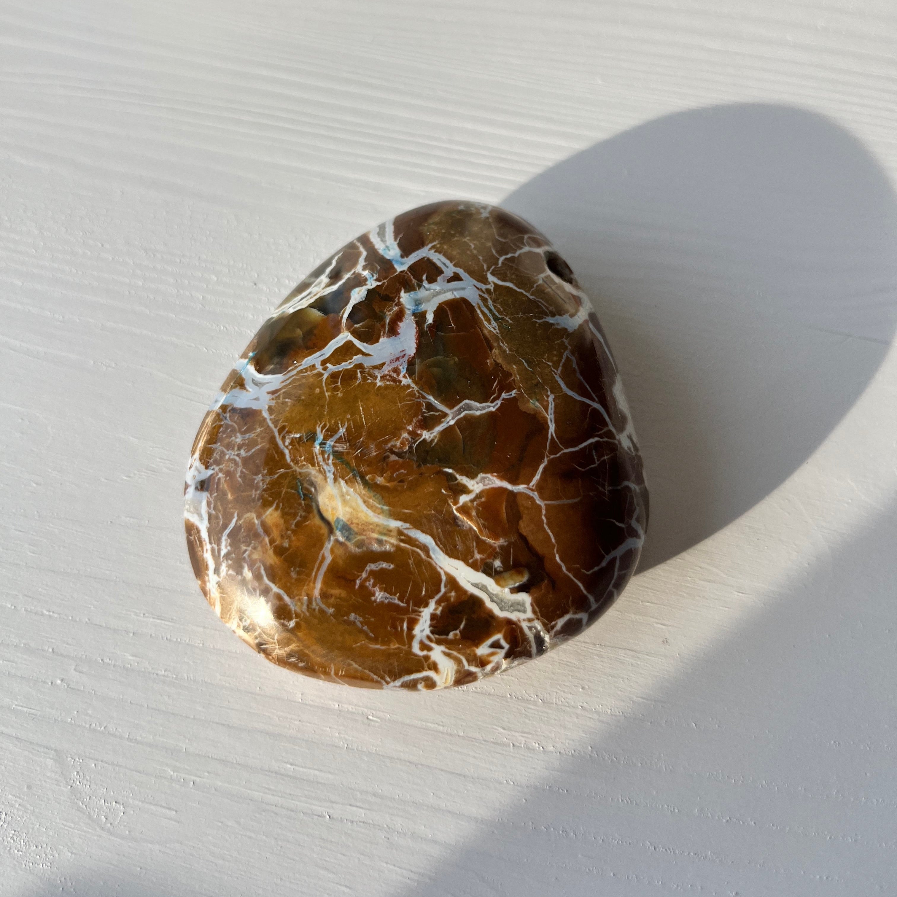 versteinertes Holz Jumbo Trommelstein