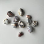 Botswana Achat Trommelstein