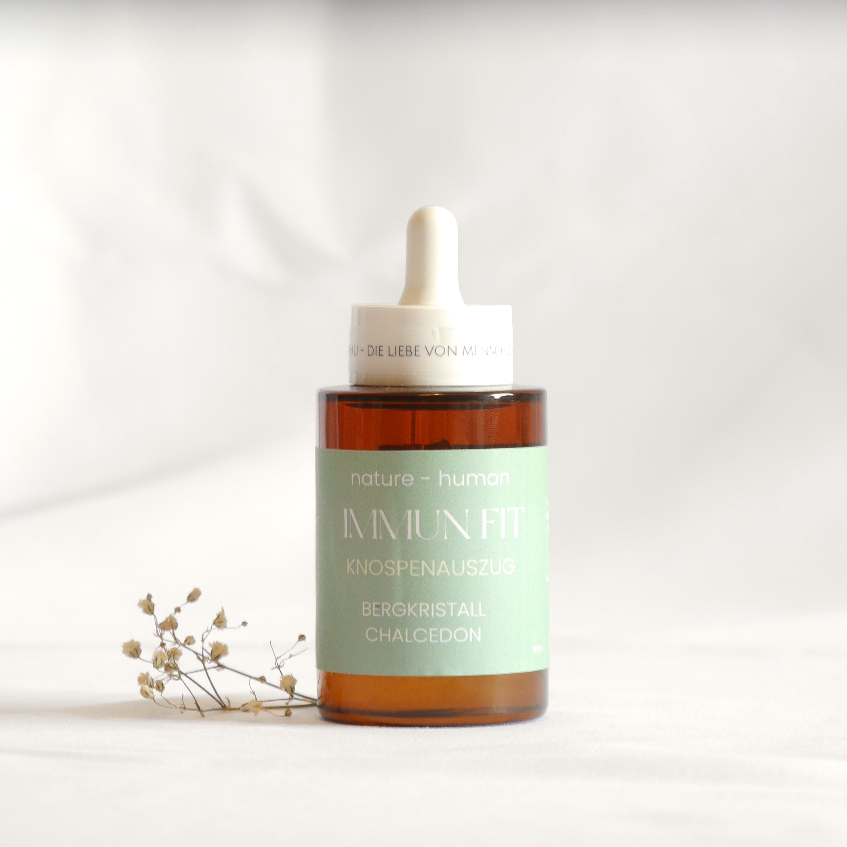 Immun Fit -  Knospenauszug